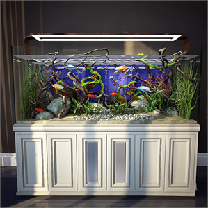 Aquarium 3